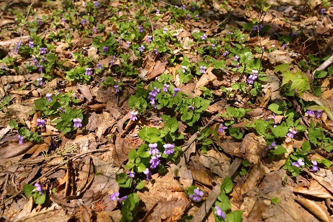 b0255992_2030187.jpg