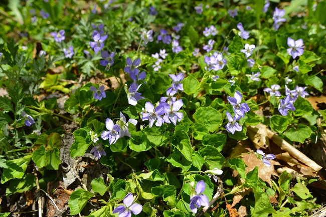 b0255992_20353621.jpg