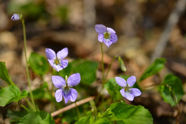 b0255992_20394545.jpg