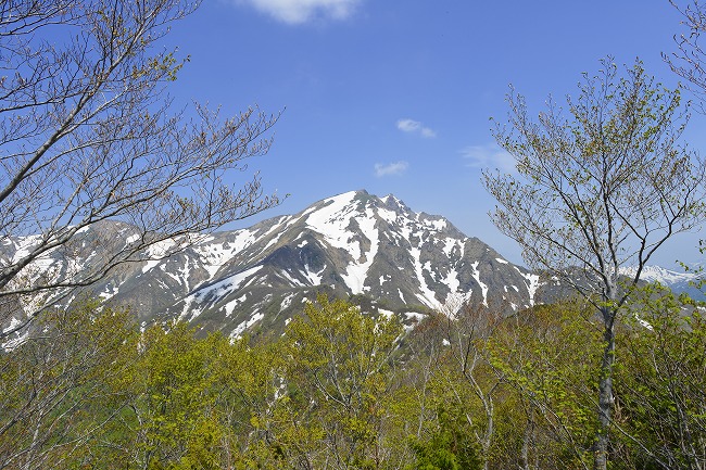 週末はスミレに会いに No7  「群馬～新潟県境・麗しの森から／前編」_b0255992_20491262.jpg