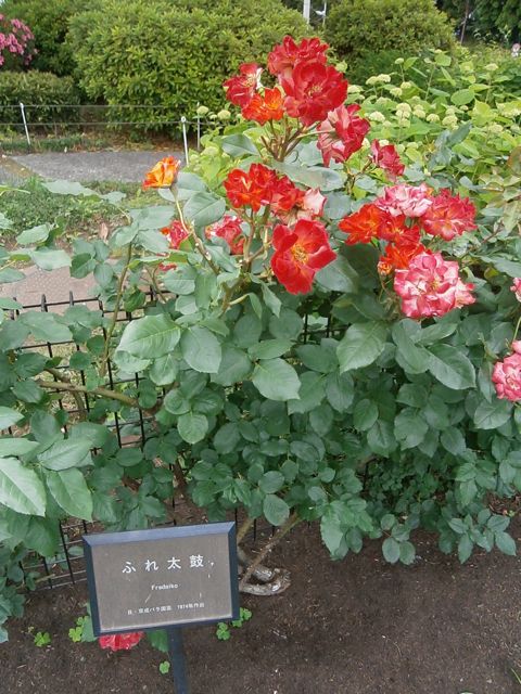 f0130894_21315953.jpg