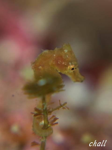 b0179101_16524213.jpg