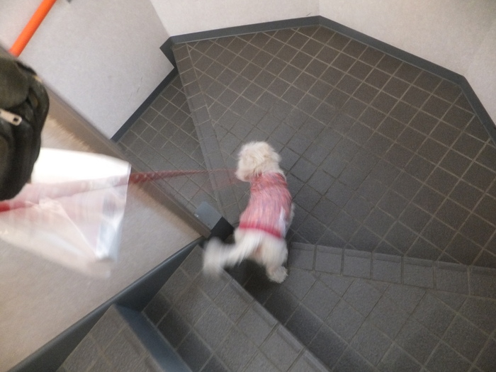 アメとムチ_c0226202_2353324.jpg