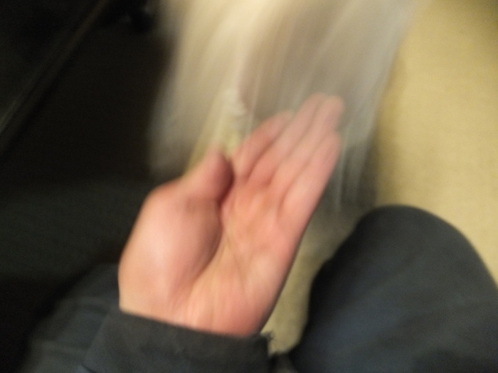 アメとムチ_c0226202_2391532.jpg