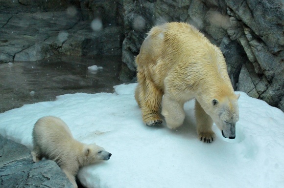 5月20日の845枚① ｜ 男鹿水族館GAO_e0319302_2057837.jpg