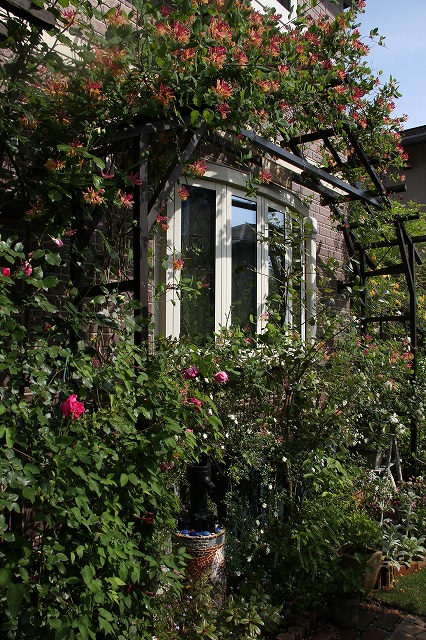 a0123003_1332216.jpg