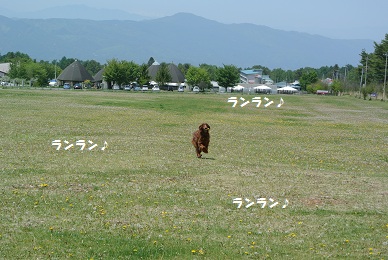 八ヶ岳の原っぱへ_a0134004_16554050.jpg