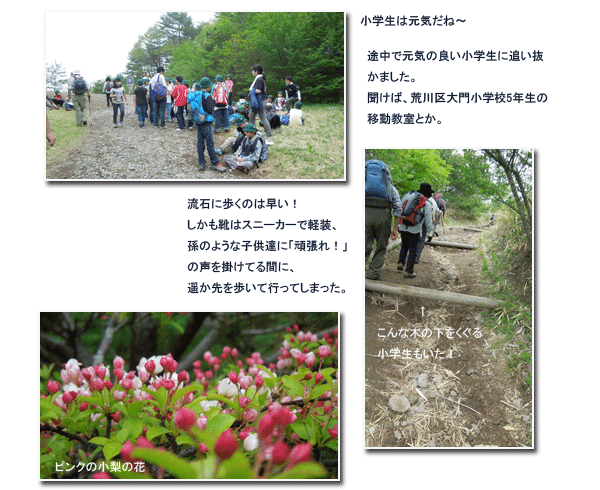 八ヶ岳山麓スーパートレイル (二日目)_c0051105_10365575.gif