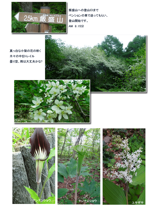 八ヶ岳山麓スーパートレイル (二日目)_c0051105_23362732.gif