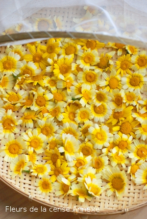 Chrysanthemum Flower Tea Luscious Delicious Home Chrysanthemum Flower Tea Luscious Delicious Home