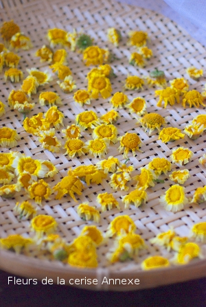 Chrysanthemum Flower Tea Luscious Delicious Home Chrysanthemum Flower Tea Luscious Delicious Home