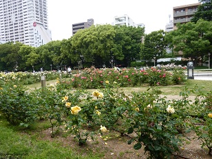 a0177314_10225045.jpg