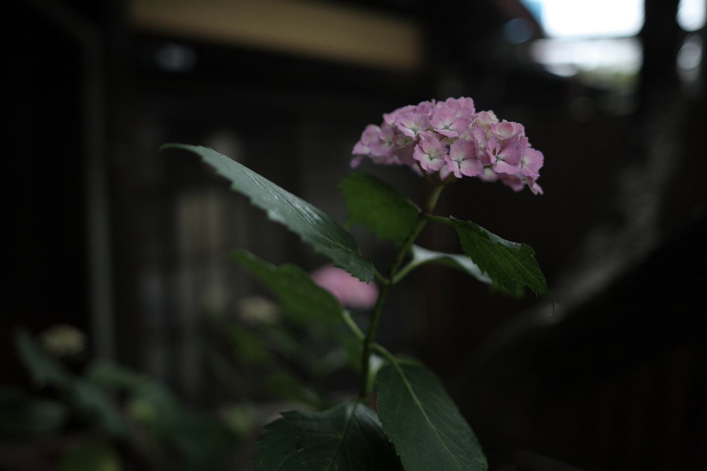 b0224616_18342753.jpg
