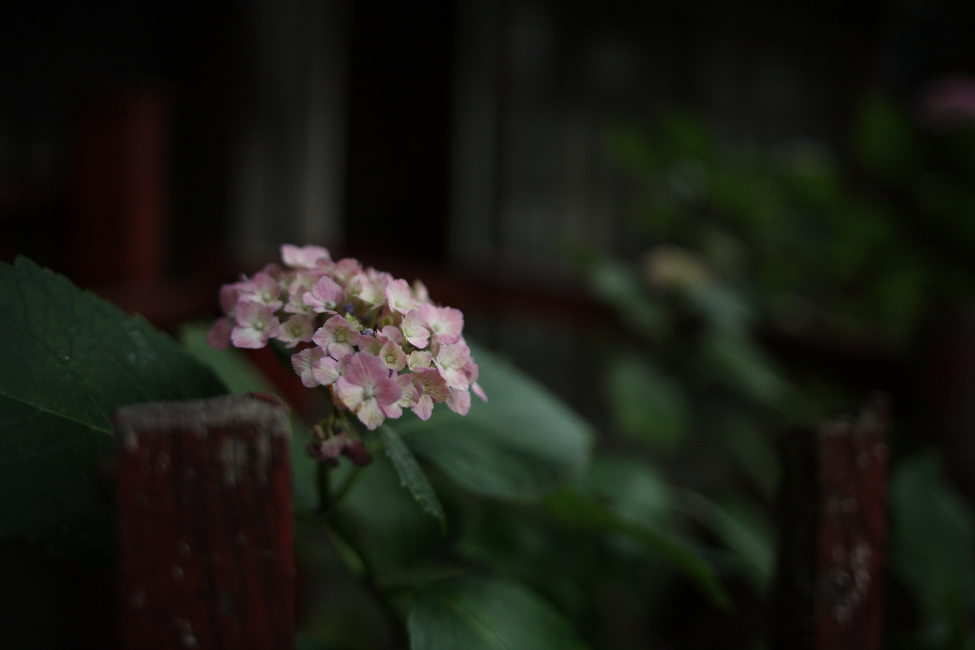b0224616_1835889.jpg