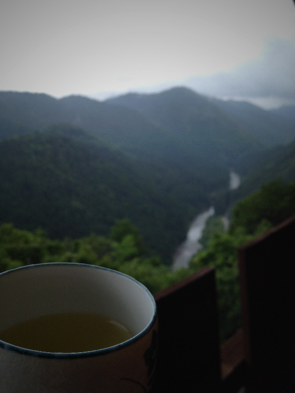 お茶さがし_b0220318_19545511.jpg