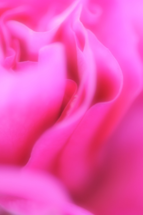 a0248728_1521472.jpg