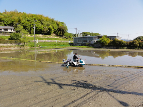 Y様邸(西区山田町)太陽光発電移設工事_d0125228_7403342.jpg