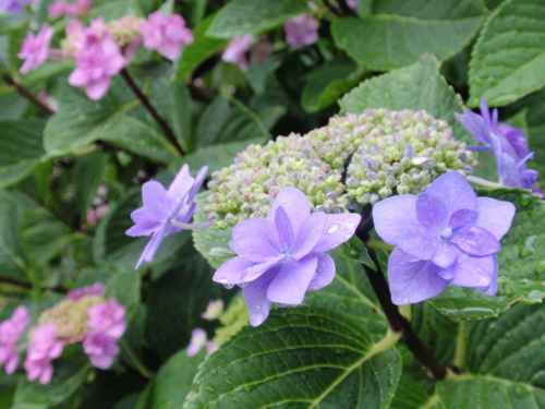 a0120530_12553447.png