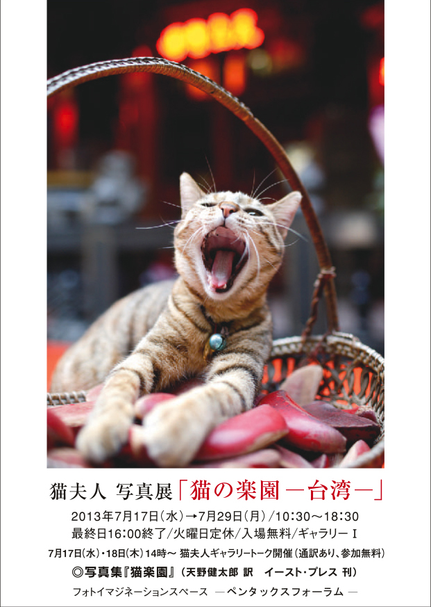 「猫の楽園―台湾―」猫夫人写真展_c0194541_139306.jpg