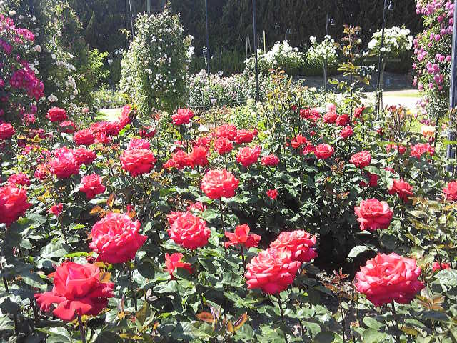 c0292342_20151930.jpg