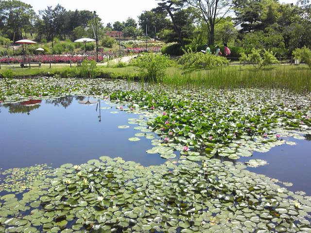 c0292342_20304937.jpg