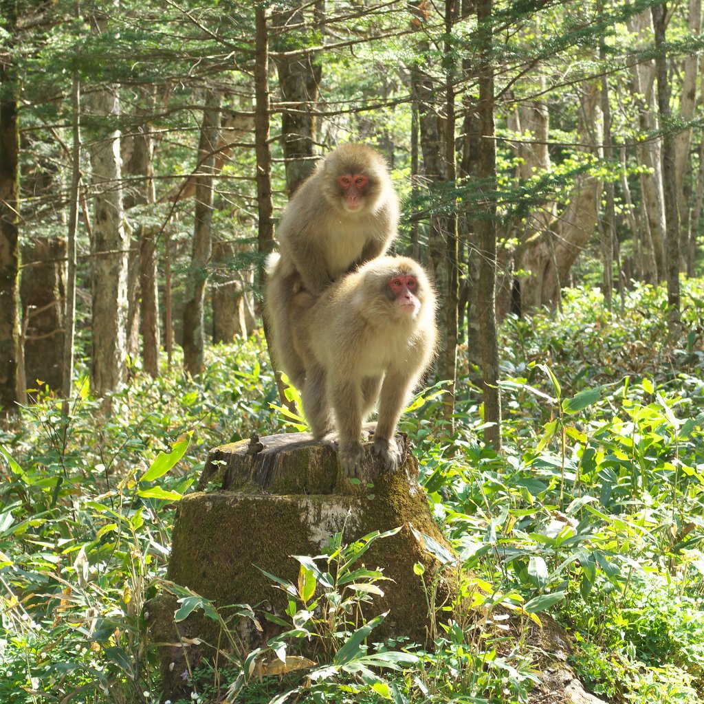 b0147449_1912717.jpg