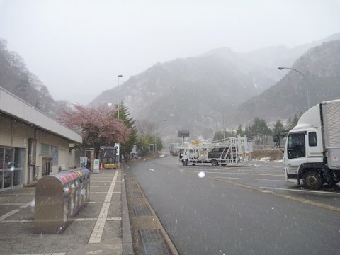 【滑走レポ 2013.4.22】 4月下旬の新雪に道中ドキドキ(笑)@かぐら_e0037849_94845.jpg