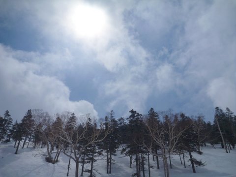 【滑走レポ 2013.4.22】 4月下旬の新雪に道中ドキドキ(笑)@かぐら_e0037849_98623.jpg
