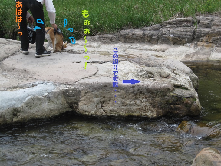 f0245650_8364537.jpg