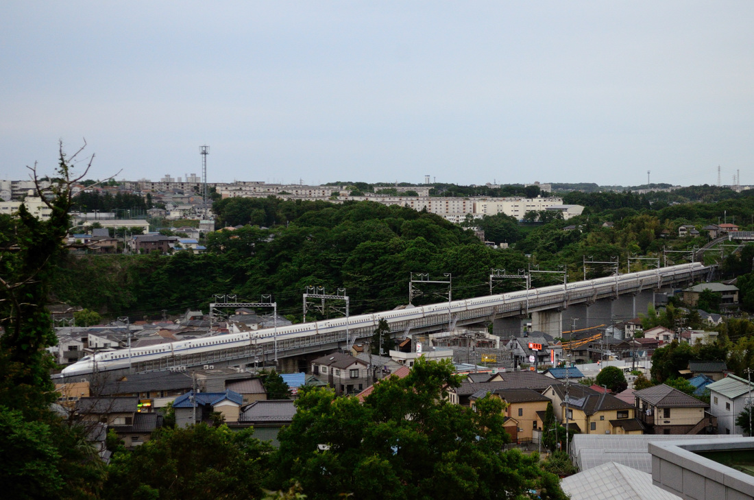 ★〔東海道新幹線：撮影〕★ 【 横浜の丘で新幹線撮り 】_c0087158_15323384.jpg