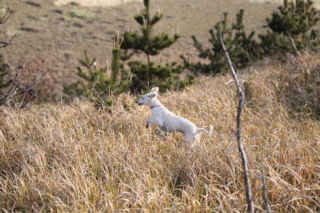 f0268259_2135065.jpg