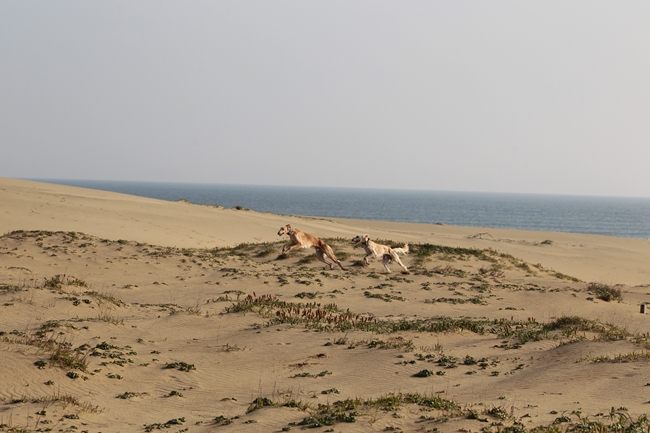 f0268259_21384561.jpg