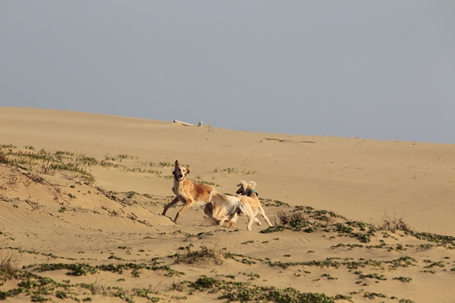 f0268259_21403766.jpg