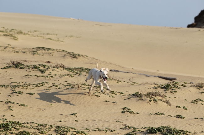 f0268259_2146530.jpg