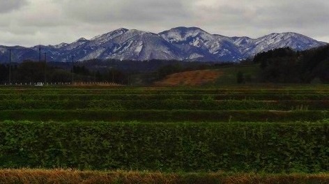 ＜2013年GW＞山形歴史紀行（その２）：日本最大級のﾊﾟﾜｰｽﾎﾟｯﾄ「出羽三山」探訪_c0119160_2220331.jpg