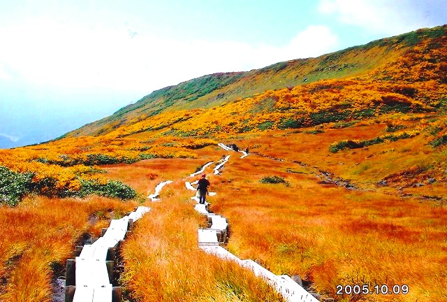 c0119160_22272035.jpg