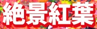 c0119160_2228090.jpg