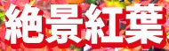 ＜2013年GW＞山形歴史紀行（その２）：日本最大級のﾊﾟﾜｰｽﾎﾟｯﾄ「出羽三山」探訪_c0119160_2228090.jpg