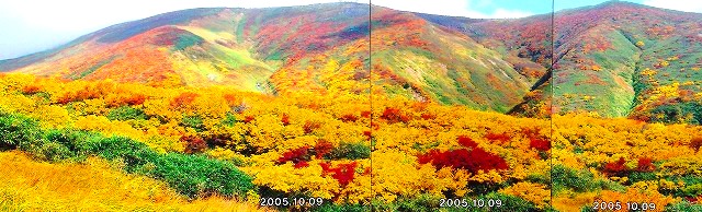 ＜2013年GW＞山形歴史紀行（その２）：日本最大級のﾊﾟﾜｰｽﾎﾟｯﾄ「出羽三山」探訪_c0119160_22312835.jpg