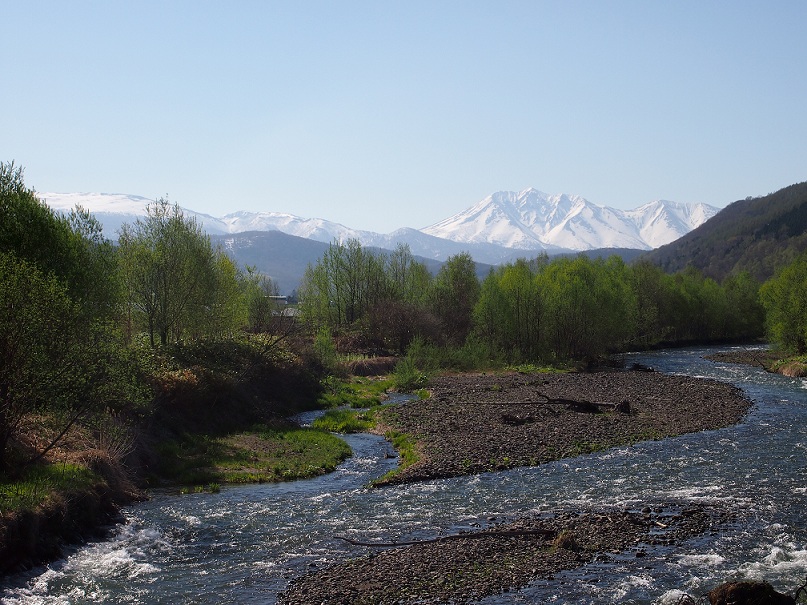 b0281366_1425508.jpg