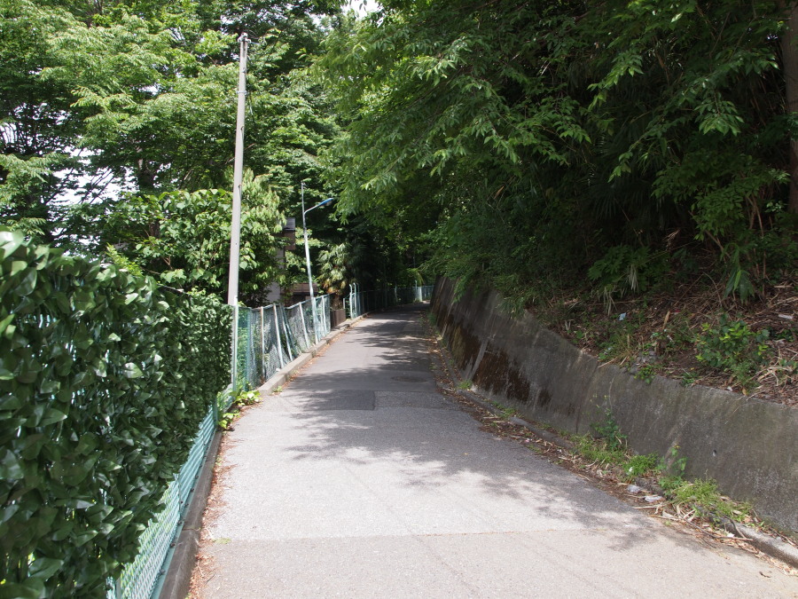 e0163471_1840190.jpg