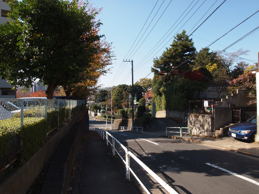 e0163471_185463.jpg