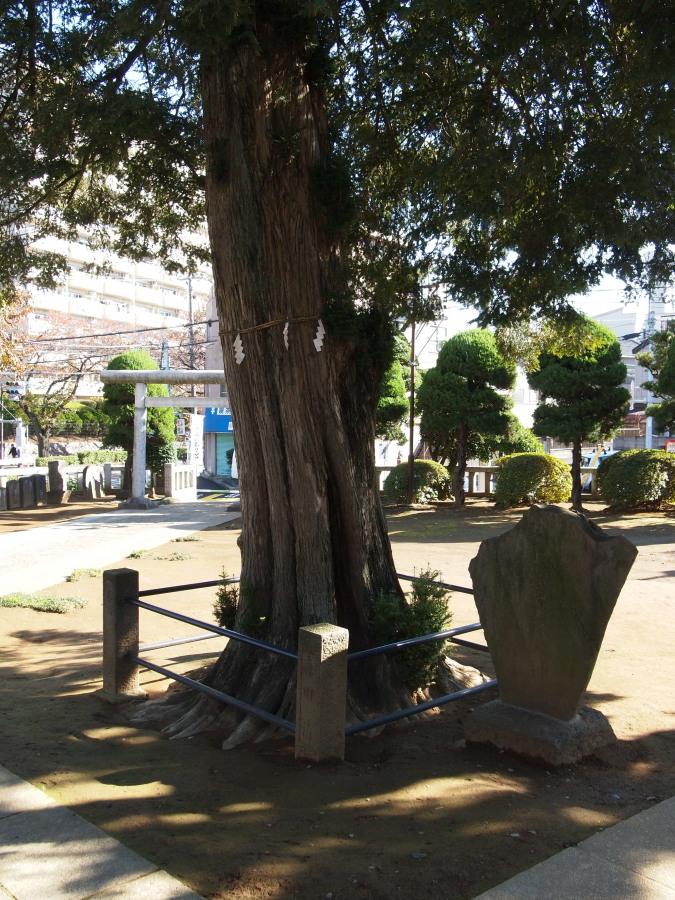 e0163471_19194245.jpg