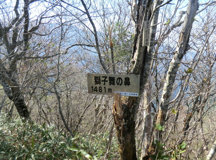 No291大展望とあけぼのつつじ満開の四国・平家平～冠山～土山越_b0185573_1423688.jpg