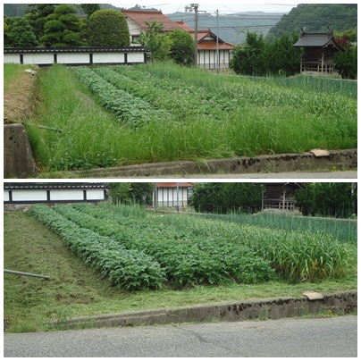 a0199979_17234766.jpg
