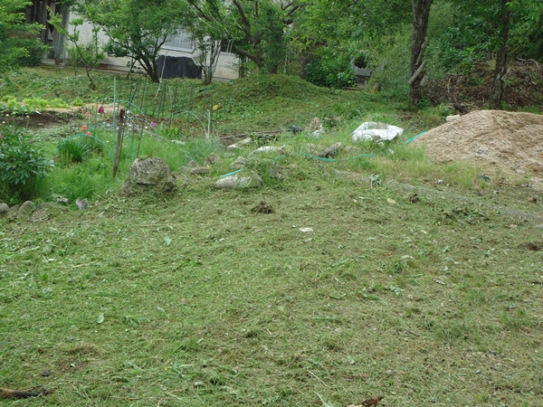 a0199979_17263632.jpg