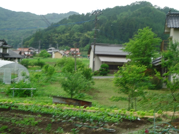 a0199979_17275195.jpg