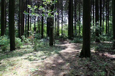c0152779_16115930.jpg