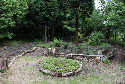 c0152779_16123047.jpg