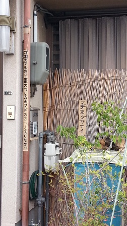 f0228680_113769.jpg